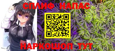 ECSTASY Будённовск