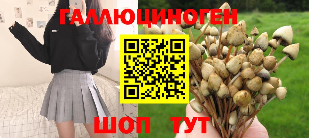 Усть-Илимск  Галлюциногенные грибы MAGIC MUSHROOMS  Вход с VPN 
